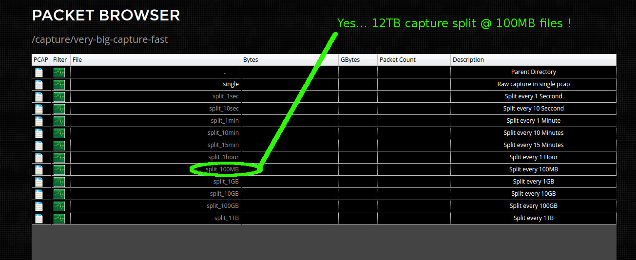 10gbps packet sniffer browser